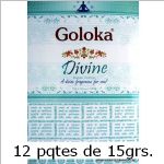 divine-masala-goloka.jpg